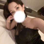 ヒメ日記 2025/07/18 14:42 投稿 きょうこ C.C.CATS