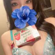 ヒメ日記 2025/07/27 08:21 投稿 きょうこ C.C.CATS