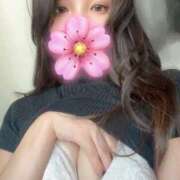 ヒメ日記 2025/08/01 01:21 投稿 きょうこ C.C.CATS