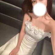 ヒメ日記 2025/09/10 00:41 投稿 きょうこ C.C.CATS