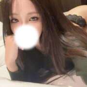 ヒメ日記 2025/10/24 15:41 投稿 きょうこ C.C.CATS