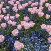 ヒメ日記 2025/05/28 18:05 投稿 あやか お姉京都