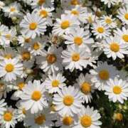 ヒメ日記 2025/05/28 19:07 投稿 あやか お姉京都