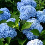 ヒメ日記 2025/05/28 21:42 投稿 あやか お姉京都