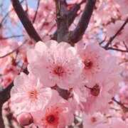 ヒメ日記 2026/03/30 15:20 投稿 あやか お姉京都