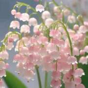 あやか ごめんなさい🥲 お姉京都