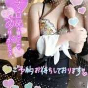 ヒメ日記 2025/04/24 09:09 投稿 酒井美鈴(さかいみすず) 九州熟女　熊本店