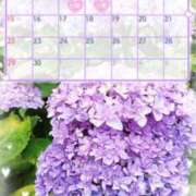 ヒメ日記 2025/06/10 18:39 投稿 酒井美鈴(さかいみすず) 九州熟女　熊本店