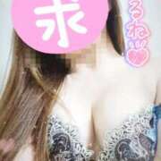 ヒメ日記 2025/11/01 12:29 投稿 酒井美鈴(さかいみすず) 九州熟女　熊本店