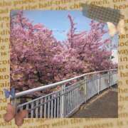 ヒメ日記 2025/04/10 14:15 投稿 岩崎水穂 五十路マダム 沼津店(カサブランカグループ)