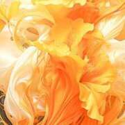 ヒメ日記 2025/04/18 21:51 投稿 岩崎水穂 五十路マダム 沼津店(カサブランカグループ)