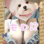 ヒメ日記 2025/04/30 04:17 投稿 岩崎水穂 五十路マダム 沼津店(カサブランカグループ)