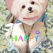 ヒメ日記 2025/04/30 11:13 投稿 岩崎水穂 五十路マダム 沼津店(カサブランカグループ)