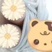 ヒメ日記 2025/05/17 06:25 投稿 岩崎水穂 五十路マダム 沼津店(カサブランカグループ)