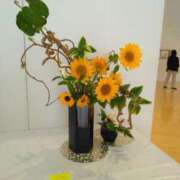 ヒメ日記 2025/05/24 20:45 投稿 岩崎水穂 五十路マダム 沼津店(カサブランカグループ)