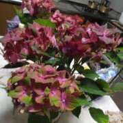 ヒメ日記 2025/05/25 19:03 投稿 岩崎水穂 五十路マダム 沼津店(カサブランカグループ)