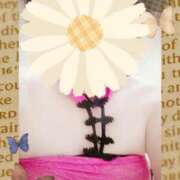 ヒメ日記 2025/05/29 12:09 投稿 岩崎水穂 五十路マダム 沼津店(カサブランカグループ)