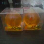 ヒメ日記 2025/06/16 21:57 投稿 岩崎水穂 五十路マダム 沼津店(カサブランカグループ)