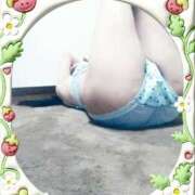 ヒメ日記 2025/03/08 18:01 投稿 春田和佳奈 五十路マダム 沼津店(カサブランカグループ)