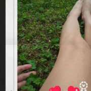 ヒメ日記 2025/03/09 12:49 投稿 春田和佳奈 五十路マダム 沼津店(カサブランカグループ)