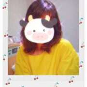 ヒメ日記 2025/03/18 15:05 投稿 春田和佳奈 五十路マダム 沼津店(カサブランカグループ)