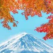 ヒメ日記 2025/10/13 07:25 投稿 春田和佳奈 五十路マダム 沼津店(カサブランカグループ)