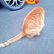 ヒメ日記 2026/01/14 21:03 投稿 春田和佳奈 五十路マダム 沼津店(カサブランカグループ)