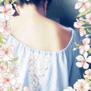 ヒメ日記 2026/03/08 10:33 投稿 春田和佳奈 五十路マダム 沼津店(カサブランカグループ)