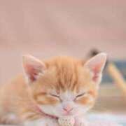 ヒメ日記 2026/03/09 20:01 投稿 春田和佳奈 五十路マダム 沼津店(カサブランカグループ)