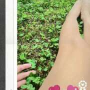 ヒメ日記 2026/03/15 15:03 投稿 春田和佳奈 五十路マダム 沼津店(カサブランカグループ)