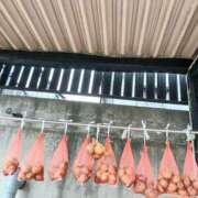 ヒメ日記 2026/07/13 15:43 投稿 春田和佳奈 五十路マダム 沼津店(カサブランカグループ)