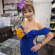 ヒメ日記 2025/07/15 15:29 投稿 山本美羽子 五十路マダム 沼津店(カサブランカグループ)