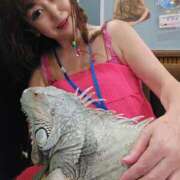 ヒメ日記 2025/09/07 22:25 投稿 山本美羽子 五十路マダム 沼津店(カサブランカグループ)