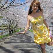 ヒメ日記 2026/03/11 15:05 投稿 山本美羽子 五十路マダム 沼津店(カサブランカグループ)