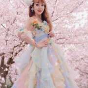 ヒメ日記 2026/03/19 19:11 投稿 山本美羽子 五十路マダム 沼津店(カサブランカグループ)