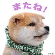 ヒメ日記 2025/04/16 20:05 投稿 本庄みおり 五十路マダム 沼津店(カサブランカグループ)