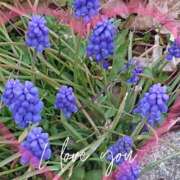 豊田せりか ありがとう 五十路マダム 沼津店(カサブランカグループ)