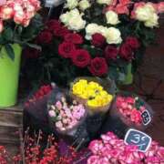 ヒメ日記 2025/03/15 16:57 投稿 大久保安子 五十路マダム 沼津店(カサブランカグループ)