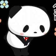 ヒメ日記 2025/03/15 08:21 投稿 中野美沙子 五十路マダム 沼津店(カサブランカグループ)