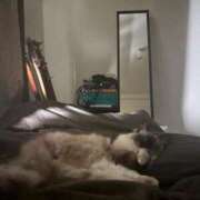 ヒメ日記 2025/03/16 19:44 投稿 れい フィエスタ