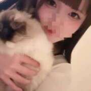 ヒメ日記 2025/04/03 20:24 投稿 れい フィエスタ