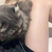 ヒメ日記 2025/05/03 20:28 投稿 れい フィエスタ