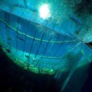 ヒメ日記 2025/05/07 19:24 投稿 れい フィエスタ