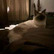 ヒメ日記 2025/05/15 08:34 投稿 れい フィエスタ