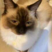 ヒメ日記 2025/07/18 11:24 投稿 れい フィエスタ