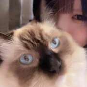 ヒメ日記 2025/07/19 11:24 投稿 れい フィエスタ