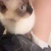 ヒメ日記 2025/07/25 17:04 投稿 れい フィエスタ