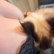 ヒメ日記 2026/03/19 15:14 投稿 れい フィエスタ