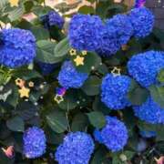 ヒメ日記 2025/06/08 13:38 投稿 美瑞穂(みずほ) PLUS十三店