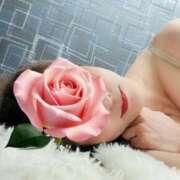 ヒメ日記 2025/09/16 23:58 投稿 美瑞穂(みずほ) PLUS十三店